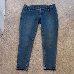 Loft Classic Blue Women's Jeans
